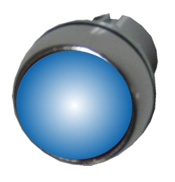 Allen Bradley 800FM-LF6 blue illuminated metal pushbutton