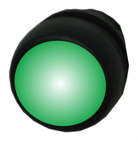 Allen Bradley 800FP-LF3 green illuminated plastic pushbutton