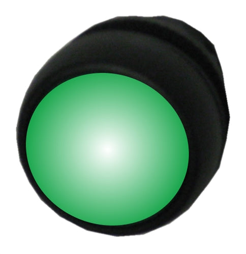 Allen Bradley 800FP-LFA3 green illuminated plastic pushbutton