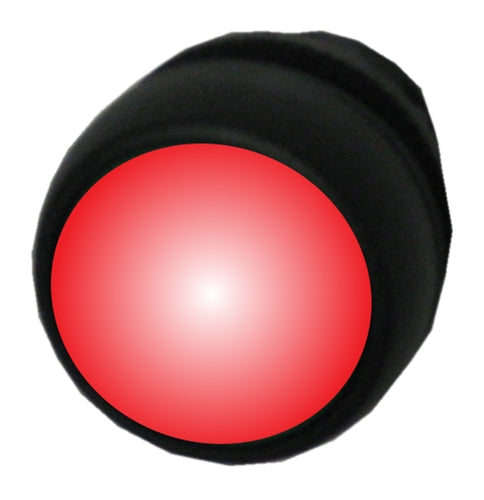 Allen Bradley 800FP-LFA4 red illuminated plastic pushbutton
