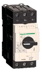 Schneider Electric GV3P65 Manual Starter and Protector
